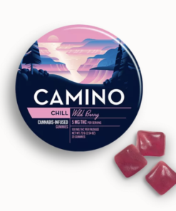 Camino Chill Wild Berry