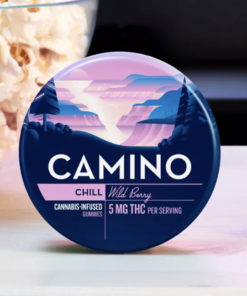 Camino Chill Wild Berry
