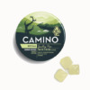 Camino Social Sparkling Pear