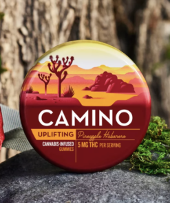 Camino Uplifting Pineapple Habanero